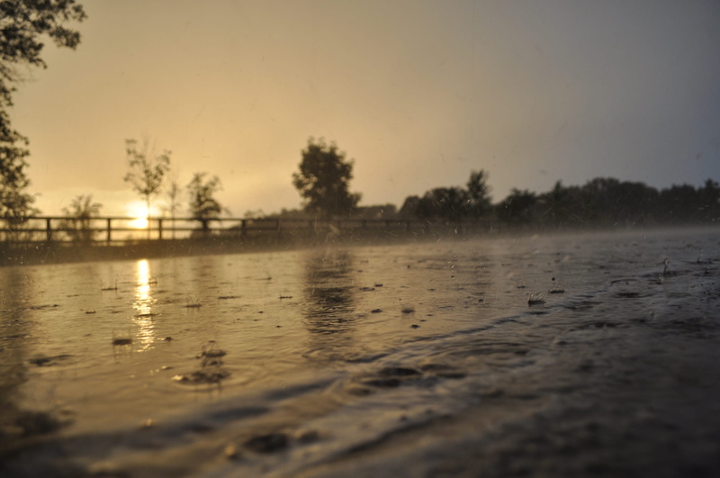2K, nature, mud, no people, lake, beach, bird, clear sky, surface level, tranquil scene, land, idyllic, light, tranquility, rain, weather, red sky, outdoors