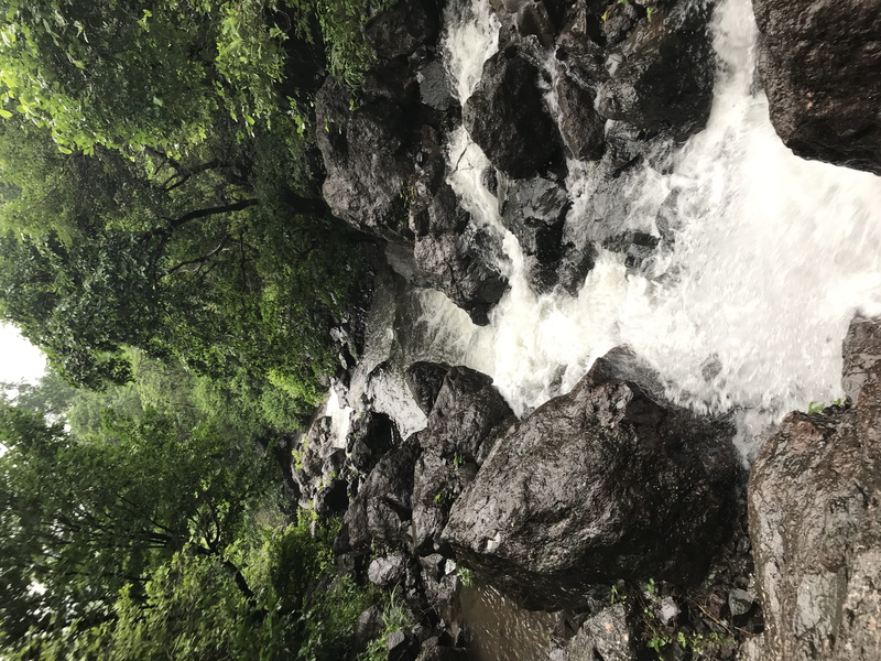 rock, falling water, long exposure, land, water, power in nature, india, scenics - nature, gujarat, flowing, motion, flowing water, rainforest, forest