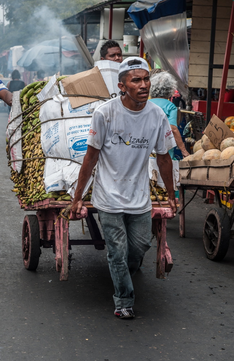 one person, venezuela, asia, cultures, pulling, man, working, land vehicle, india, maracaibo, real people, cart, people, indian Ethnicity, transportation