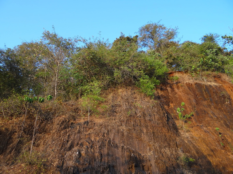 landscape, beauty in nature, clear sky, scenic, no people, cliff, tranquil scene, day, green color, Western Ghats, nature, tree, non-urban scene, wild