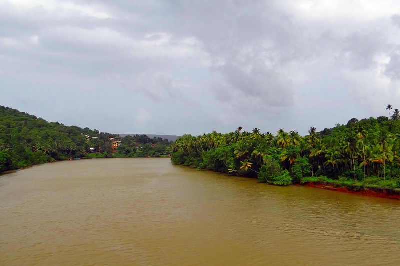 water, india, sky, day, beauty in nature, green color, outdoors, cloud - sky, goa, tidal, teracol, growth, nature, waterfront, tree, plant, land, terekhol river