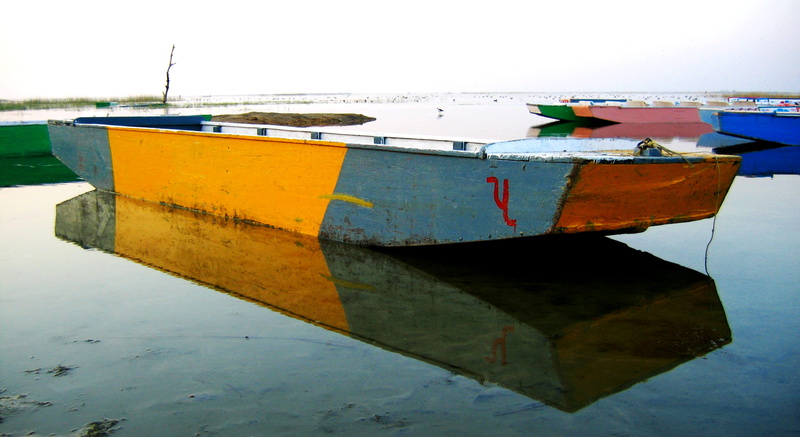 rowboat, water, group, nautical vessel, day, birdsanctuary, lake, nalsarovar, colors, morning, fishing boat, mode of transportation, clear sky, india, anchored