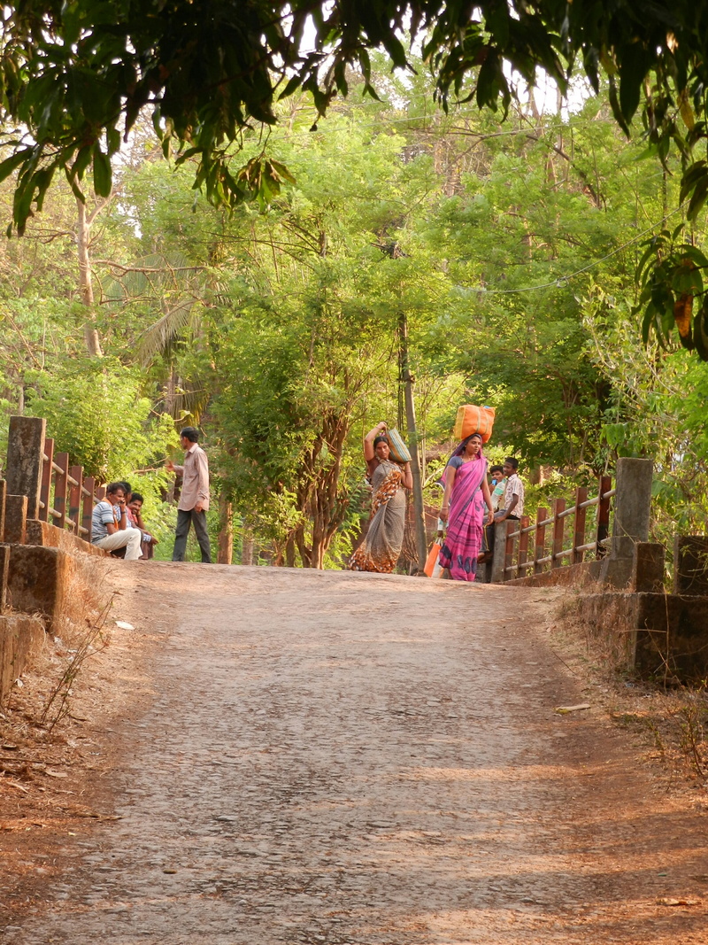 day, konkan, nature, adult, men, 2K, roads, people, casual clothing, plant, transportation, outdoors, women, growth, sister, incidental people, girls