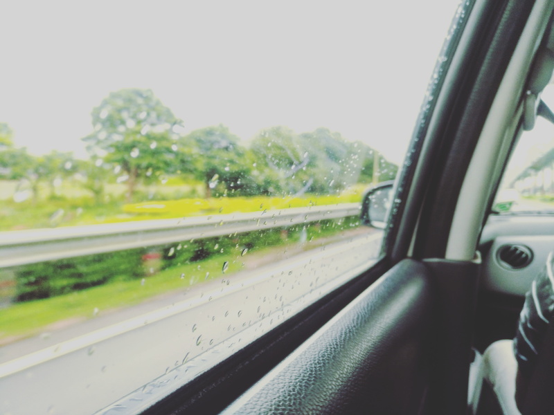 8K, traffic, south india, road, mode of transportation, Car, highway, tree, motor vehicle, indoors, transparent, land Vehicle, Window, speed, road trip