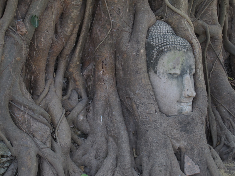 carving, art and craft, 2K, ancient, spirituality, creativity, ancient civilization, belief, gautama, sculpture, travel, no people, statue, ayuthaya, tree