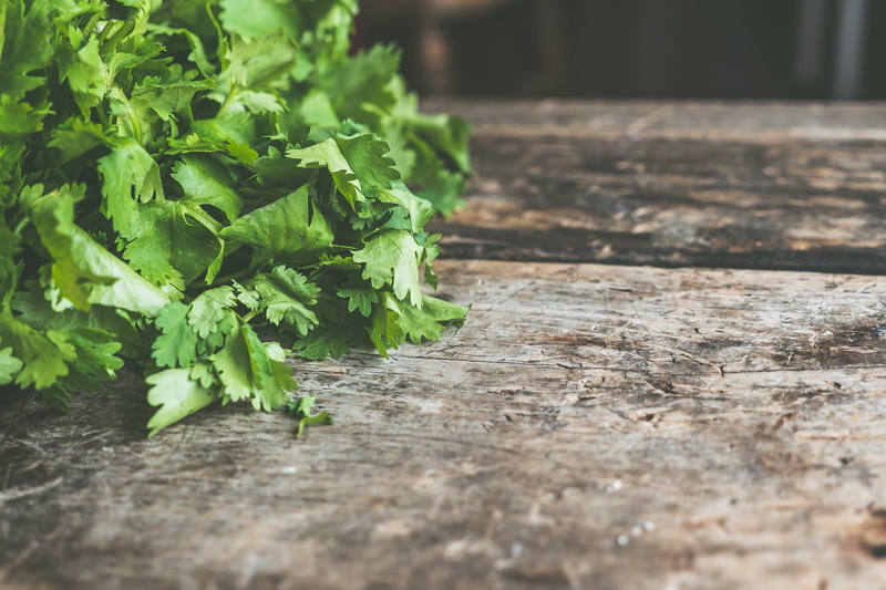 nature, selective focus, garden, ground, 4K, healthy, leaf, green, spice, food and drink, farm, cilantro, close-up, no people, day, wellbeing, soil, eat