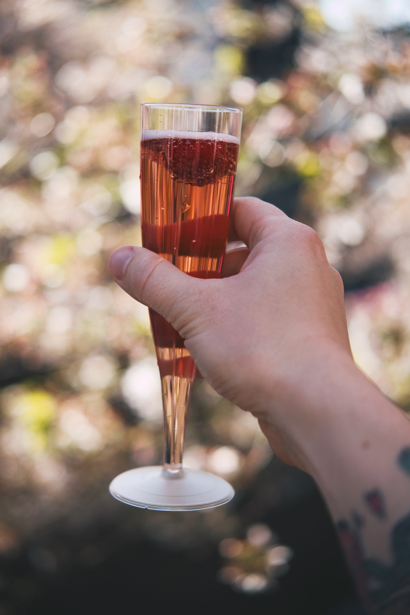 5K, holding, cheers, hand, human body part, still life, hanami, food and drink, sakura, leisure activity, human hand, lifestyles, refreshment, person