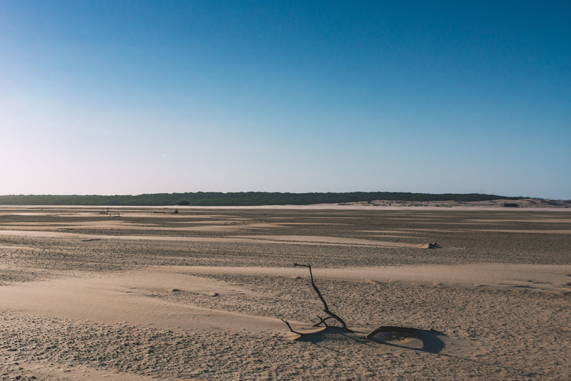 forest, sand, desert, 5K, branch, landscape, flat, day, scenics - nature, environment, salt flat, climate, huts, arid climate, beauty in nature, nature