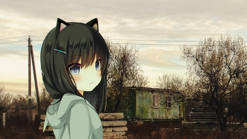 sad, 2K, wasteland, neko ears, anime, anime_irl, anime girls, cat girl, Russia