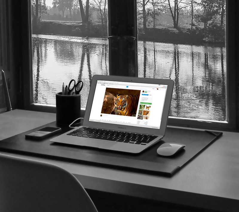 4K, wireless technology, color, device screen, laptop, wireless, notebook, tablet computer, window, portable information device, multimedia, no people