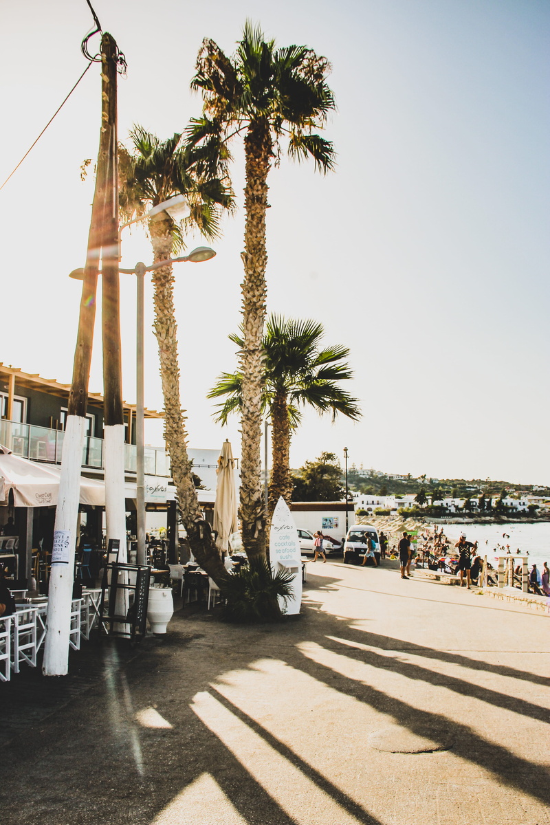 plant, clear sky, incidental people, sandy beach, palm stree, footpath, sky, day, trees, sea shore, 5K, tropical climate, architecture, outdoors, sunlight