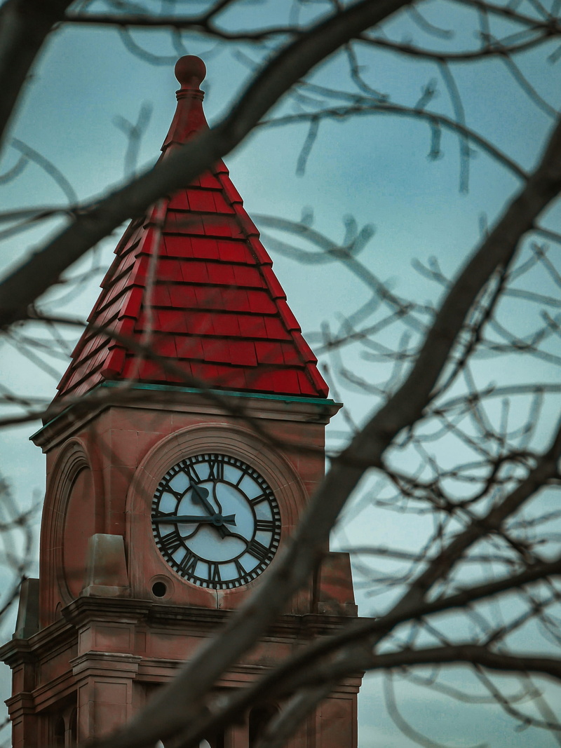 coupe, tower, red, selective focus, no people, tree, time, building, city, built structure, sky, minute hand, outdoors, clock tower, day, bare tree, plant