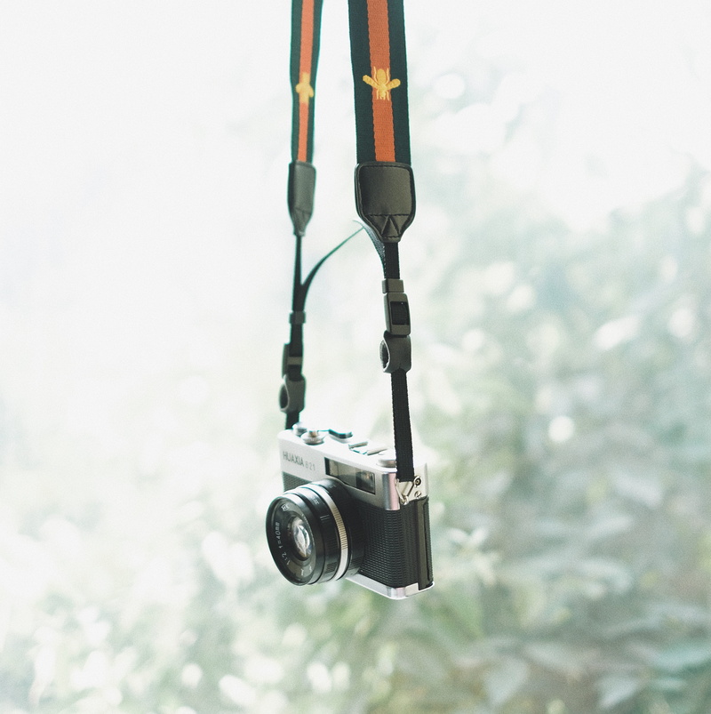 close-up, no people, bokeh, focus on foreground, 2K, protection, hanging, film, photography, black, retro, camera, metal, winter, selective, tree, still life