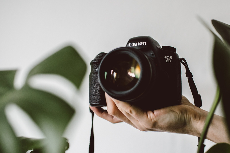 holding, camera - photographic equipment, canon, diamond, technology, photography, video camera, lens - optical instrument, camera lens, occupation, plants