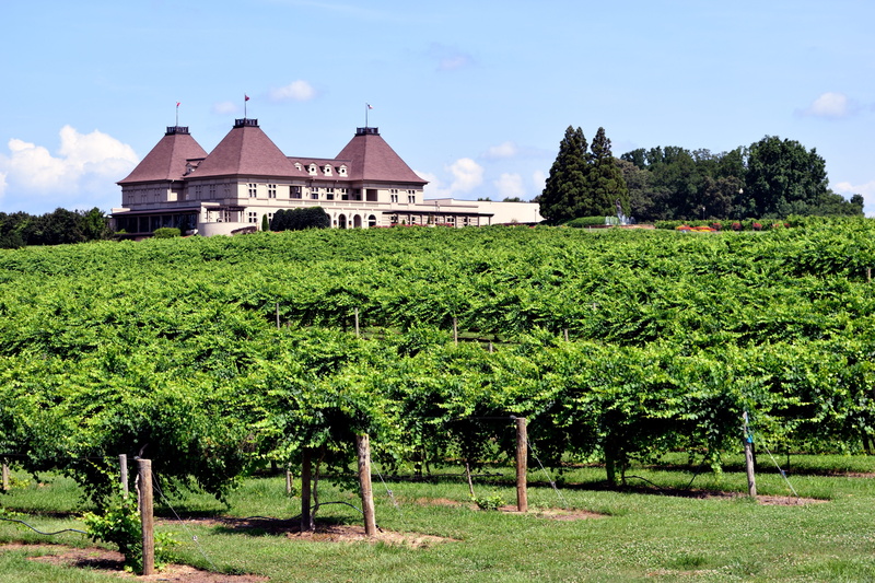 building exterior, winery, building, wine, green color, grow, agriculture, architecture, landscape, leaf, vineyard, fruit, wine making, no people, plant