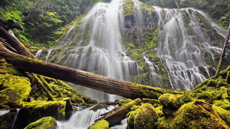 waterfalls, water, flowing water, green color, motion, beauty in nature, outdoors, forest, trees, tree, flowing, falling water, nature, moss, rock, rock - object