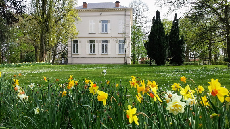 building, field, plant, outdoors, freshness, lawn, yellow, architecture, Flowers, day, sunny belgium, springtime, architecture And Buildings, house, Bist