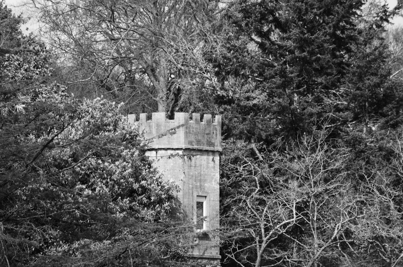 plant, the past, land, built structure, tree, history, architecture mdivale, 4K, old, noir et blanc, building, bois, outdoors, architecture, forest, religion