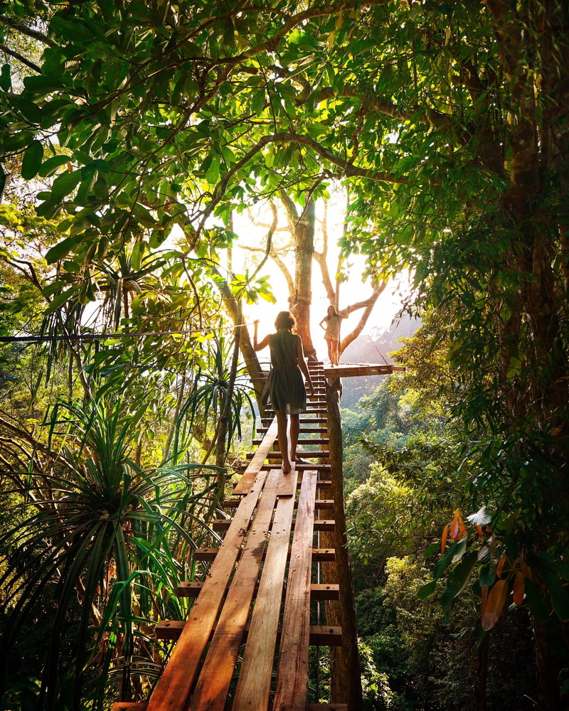 tree, growth, green, one person, person, light, tunnel, real people, only women, wood - material, girls, adults only, nature, arms raised, lifestyles, walking