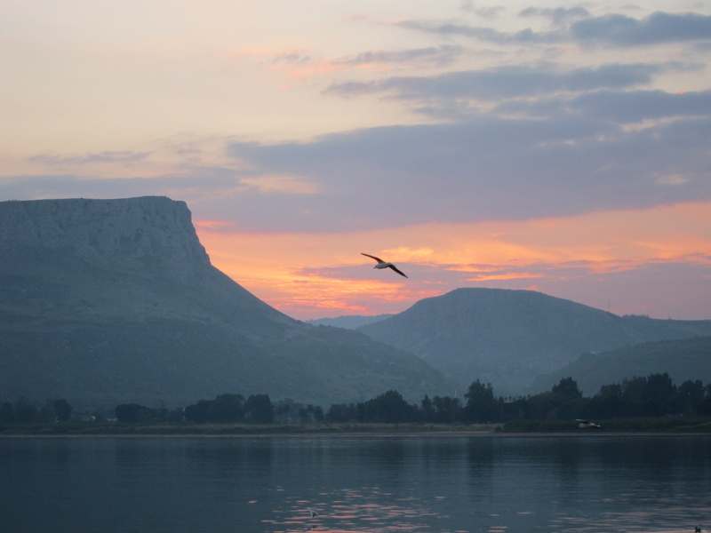 animal wildlife, landscape, arbel, 2K, water, animal themes, travel, dusk, no people, sky, flying, sea of galilee, mountain, twilight, mountain range