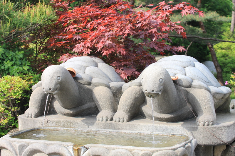 stones, water, temple, drinking water, no people, plant, turtle, sam, outdoors, stone turtle, park - man made space, representation, water to drink, increased production is also the holy land