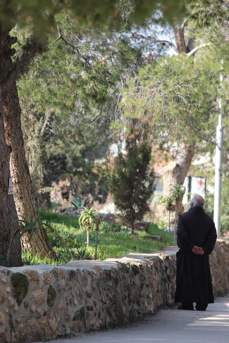 christianity, walking, tree, one person, day, nature, leisure activity, holy land, trunk, adult, men, full length, plant, 5K, tree trunk, growth, standing