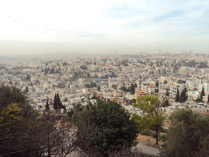 residential district, community, outdoors, building exterior, tree, skyscraper, city, jerusalem, Israel, architecture, cloud - sky, sky, no people, nature