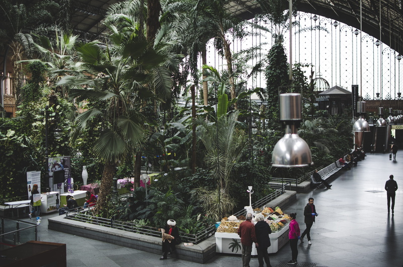 women, crowd, plant, nature, built structure, near, men, real people, tree, building, trees, tourist, architecture, travel, people, train station, building exterior