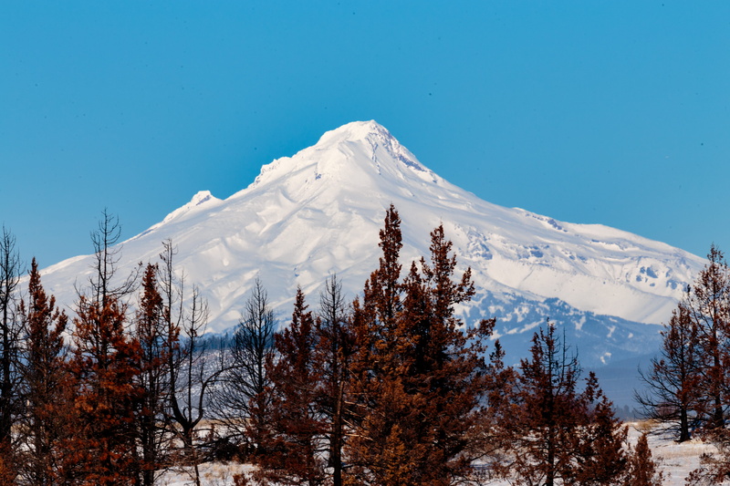 united states, beauty in nature, mountain, cold temperature, tree, idyllic, no people, 5K, winter, scenery, tranquility, clear sky, tranquil scene, madras