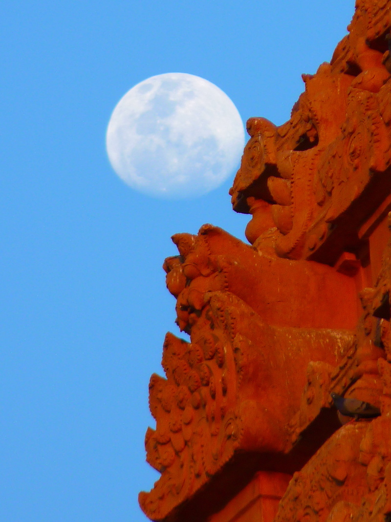 religion, statue, low angle view, sculpture, close-up, 4K, clear sky, india, nature, sky, moon, temple, brihadeshwara templ, tanjore, outdoors, place of worship