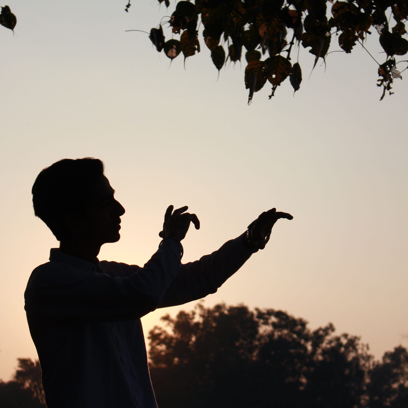 online punjabi songs, new punjabi video, punjabi hits, top punjabi song, punjabi hit song, standing, waist up, men, animal wildlife, djpunjab new song