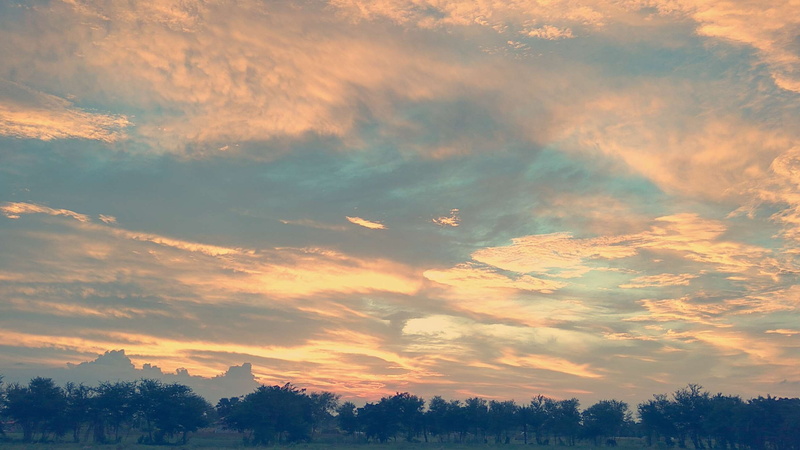 cloud - sky, sky, dramatic sky, coniferous tree, scenics - nature, sunset, tranquil scene, landscape, no people, low angle view, natue, cloudy sky, beauty in nature