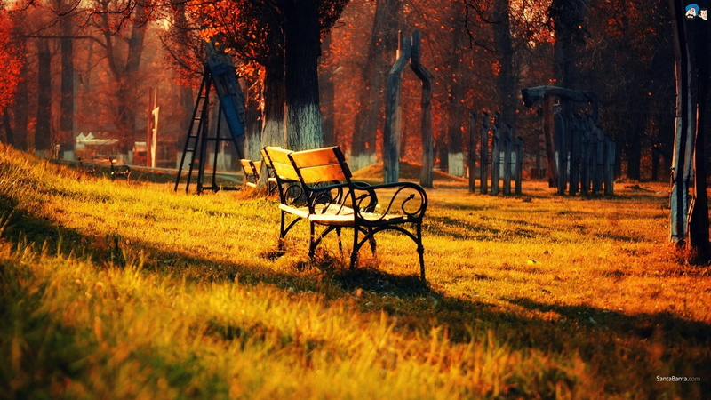 nature and landscapes, omdave, 1080P, black, hrdave, natue, seat, amit, wooden, matu, bench, brown