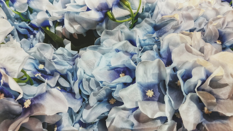 full frame, backgrounds, close-up, flower head, purple, large group of objects, flowering plant, blue, 4K, high angle view, bouquet, inflorescence, vulnerability