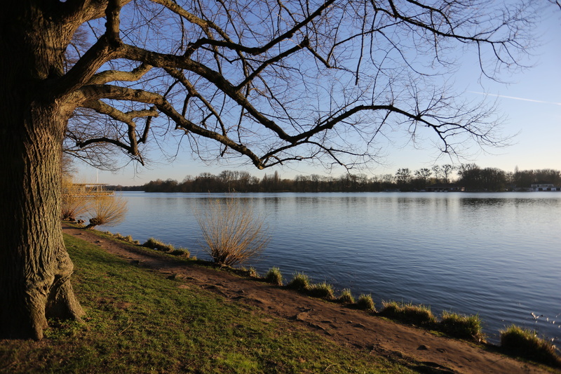 beauty in nature, idyllic, tree, beach, outdoors, tranquil scene, spring, nature, day, mood, no people, hanover, sky, lake, scenics - nature, tranquility