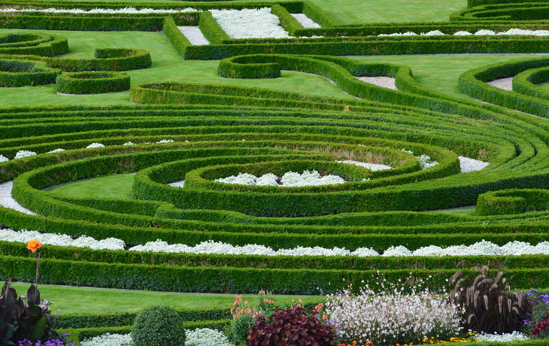 rural scene, no people, park, 5K, complexity, green color, agriculture, flowerbed, land, scenics - nature, day, maze, hanover, applied, ornamental garden