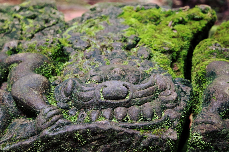 textured, cambodia, plant, growth, animal themes, day, art and craft, stone, close-up, temple, outdoors, 5K, moss, green color, craft, old, angkor, carving