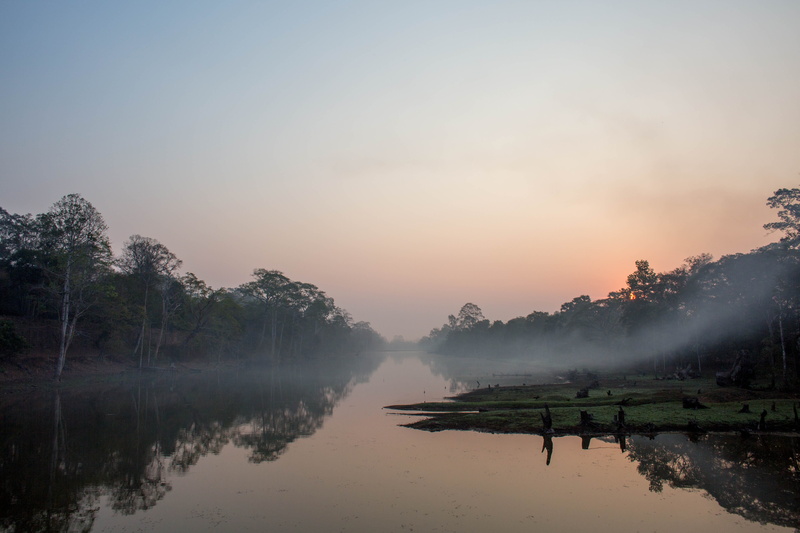 sky, hazy, scenics - nature, krong siem reap, cambodia, lake, trees, national park, beauty in nature, plant, chickens, idyllic, outdoors, reflection, siem reap