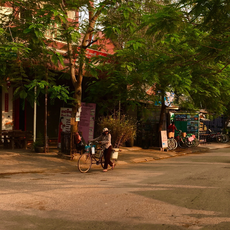 mode of transportation, nature, transportation, group of people, people, krong siem reap, cambodia, real people, road, incidental people, growth, street photography