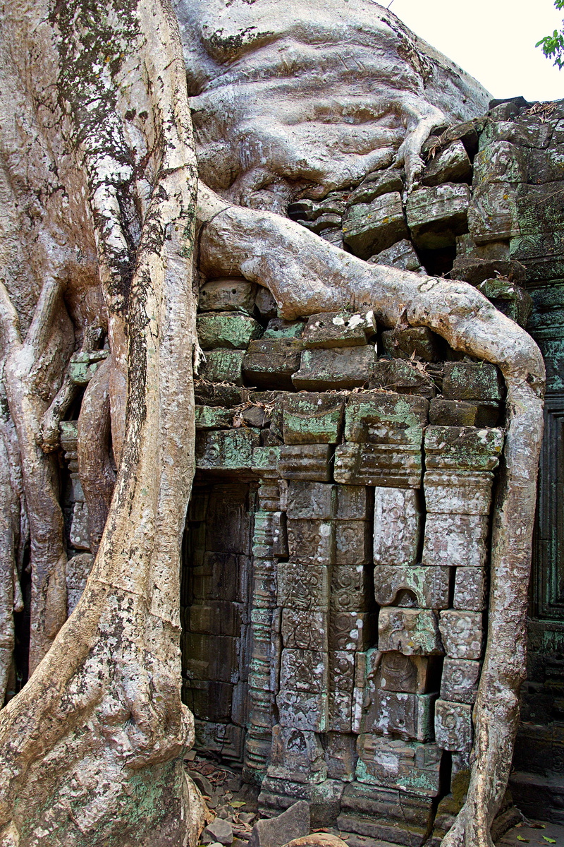 archaeology, ruins, historically, temple complex, unesco, old, old ruin, asia, sculpture, human representation, root, ruined, 4K, representation, world heritage