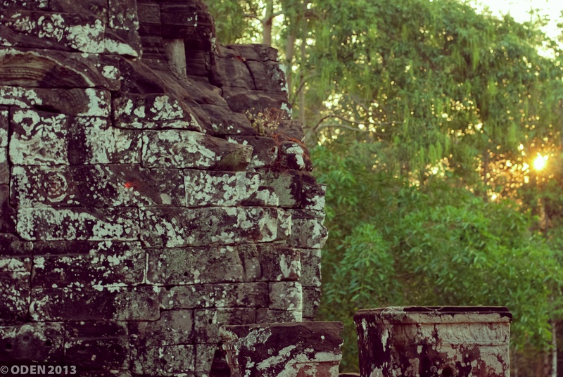 sunlight, plant, architecture, growth, old, forest, built structure, trunk, siem reap, wood - material, beauty in nature, focus on foreground, no people