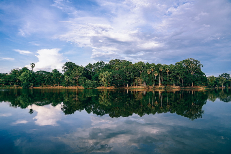 reflection lake, tree, contemplation, coconut palm tree, tranquil scene, body, lake, symmetry, plant, scenics - nature, building, sky, built structure