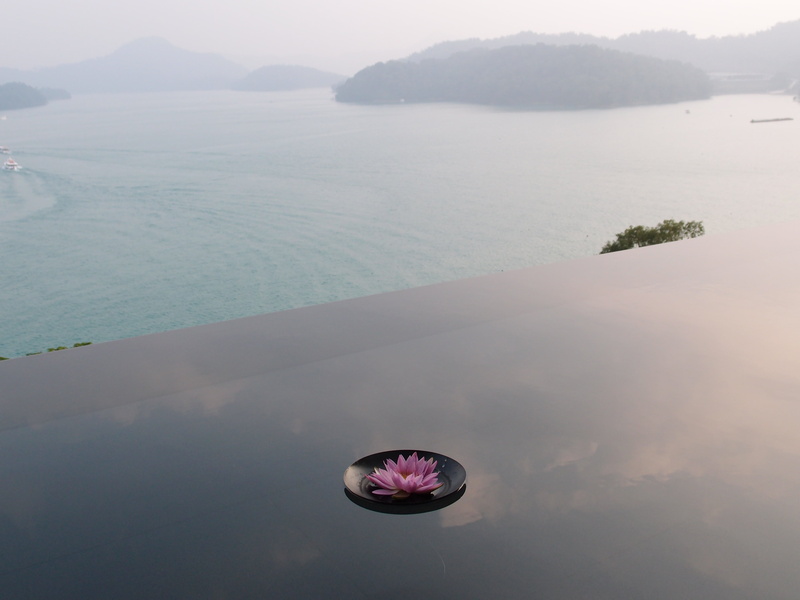 reflection pond, flower, 2K, day, tranquil scene, beauty in nature, reflection, beach, land, sky, still life, mountain, sun moon lake, high angle view