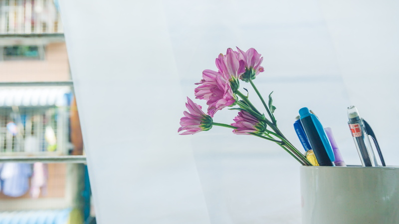 freshness, purple, vulnerability, flowering plant, close-up, pink flower, flower arrangement, focus on foreground, fresh, gandamar, white, plant, fragility