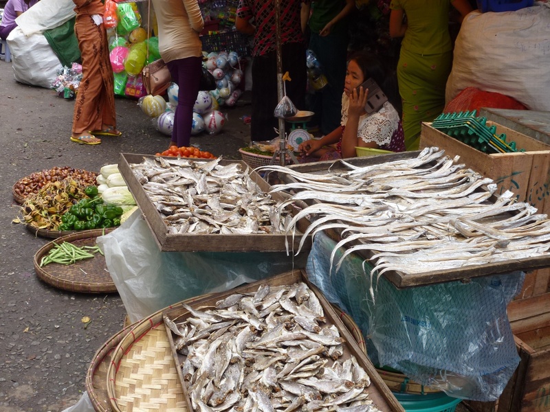 traditional, men, burma, market, myanmar, adult, for sale, group, business, food and drink, real people, 2K, selling, group of people, fish, yangon, market stall