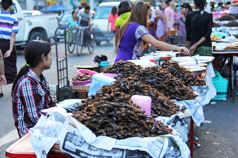 women, incidental people, people, cockroaches, choice, for sale, street market, retail display, retail, burma, selling, business, sale, crowded, market