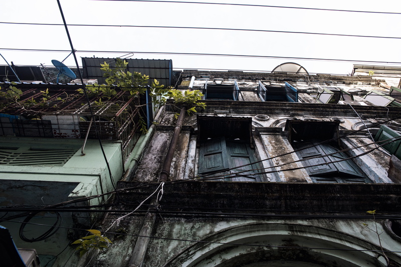 apartment, urban, damaged, yangon, nature, plants, up, 5K, burma, outdoors, plant, myanmar (burma), built structure, city, building exterior, southeast asia