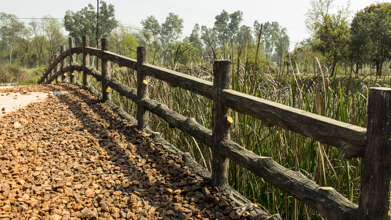 tranquil scene, buddhism, outdoors, lumbini, vietnamese, fence, no people, nature, safety, mysterious, land, tranquility, temple, railing, nepal, growth