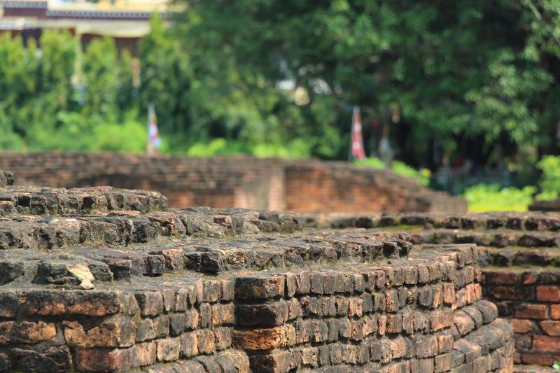 nepal, no people, building exterior, wall - building feature, built structure, brick, landmark, plant, buddha, day, nature, history, architecture, focus on foreground