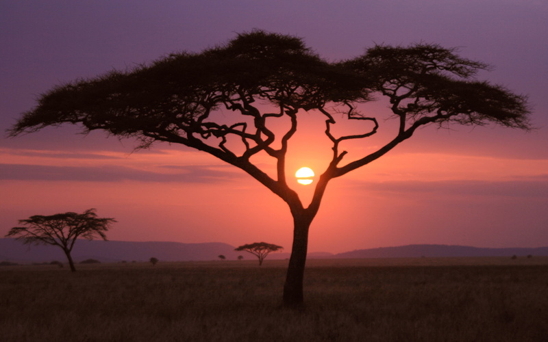 Africa, nature, sunset, landscape, 2K